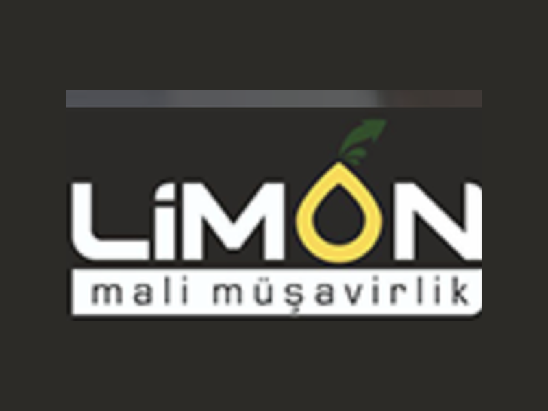 Mali Müşavir Demet Kenliç Karakuş- Limon Denetim